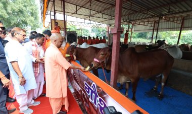 मुख्यमंत्री ने श्री अन्नपूर्णा ऋषिकुल ब्रह्मचर्याश्रम के गोशाला में गायों को चारा- गुड़ खिलाया