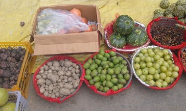 काशी में छठ महापर्व की सुगंध: बाजारों में रौनक, मौसमी फलों और गन्ना की हाे रही खरीदारी