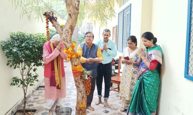 अक्षय नवमी पर आंवला के वृक्ष का पूजन, श्री हरि की आराधना