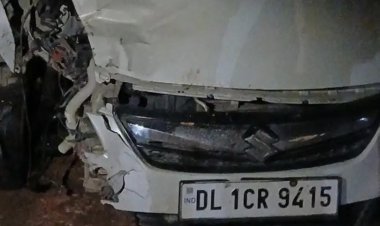 दुर्घटना में हिरन की मौत, बाइक सवार तीन घायल