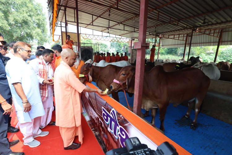 मुख्यमंत्री ने श्री अन्नपूर्णा ऋषिकुल ब्रह्मचर्याश्रम के गोशाला में गायों को चारा- गुड़ खिलाया