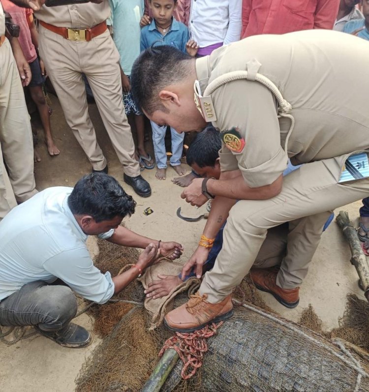 बस्ती में घुसा 10 फीट का मगरमच्छ, ग्रामीणों में मची अफरा-तफरी