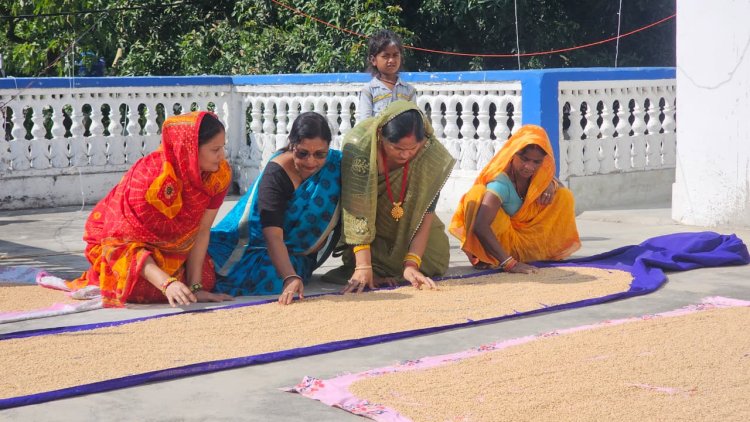 छठ महापर्व के प्रसाद के लिए छठव्रतियों ने सुखाए गेहूं,छठ की गीतों से गूंजा वातावरण
