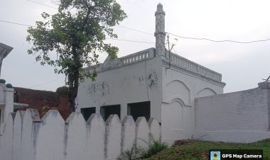 लैण्ड जिहाद की चपेट में महाराजा नल का नलग्राम किला