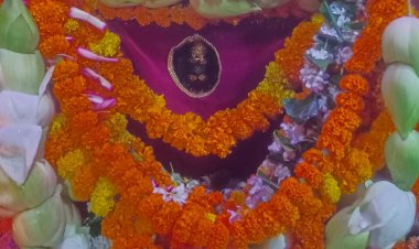 देव उठनी एकादशी पर गड़बड़ा धाम में उमड़ा आस्था का सैलाब, हजारों भक्तों ने किए दर्शन-पूजन