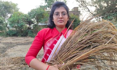 असमय बारिश से बांदा सहित बुंदेलखंड में 80 फीसदी धान की फसल चौपट