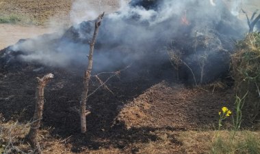 खलिहान में लगी आग, तीन बीघा धान व दो बीघा पुआल राख