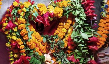 गड़बड़ा धाम में उमड़ी आस्था, 50 हजार से अधिक श्रद्धालुओं ने किए मां शीतला के दर्शन