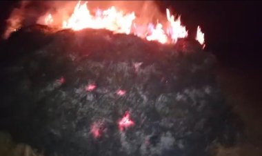 धमतरी : धान की खरही में आग, 80 क्विंटल धान जलकर खाक