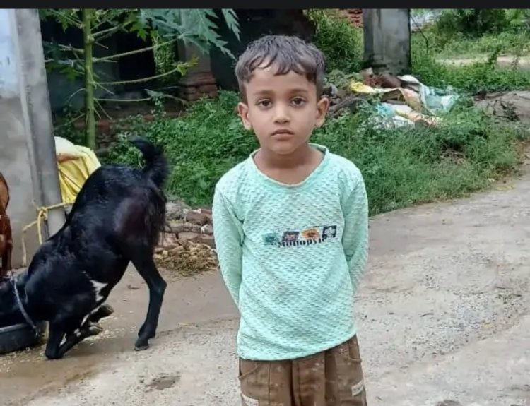 कुत्ते के काटने से उपचार के दौरान मासूम की मौत