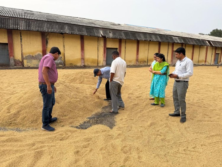 सीएम के 48 घंटे में भुगतान के निर्देश के बाद तेज हुई धान खरीद, बरेली मंडल के 17 हजार किसानों को मिला लाभ