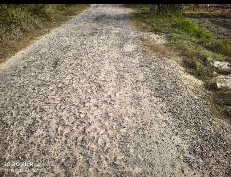 जर्जर सड़क से ग्रामीण परेशान, सुधार कार्य जल्द शुरू करने की मांग