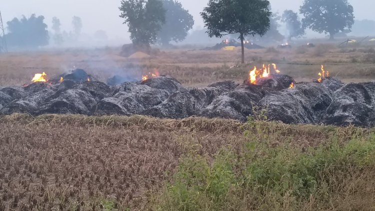 खलिहान में लगी आग से 11 किसानों की 34 बीघा की फसल राख