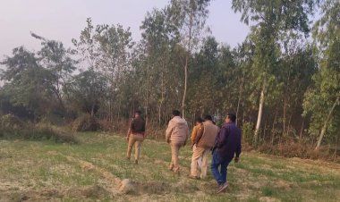 कारागार राज्य मंत्री के घर के पीछे मिले संदिग्ध तेंदुए के पद चिन्ह