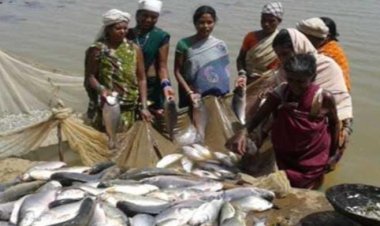 मुख्यमंत्री मत्स्य संपदा योजना के तहत पांच लाभार्थियों को दी गई सतप्रतिशत सब्सिडी