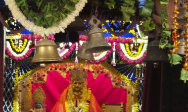 मथुरा के बेलवन में पौष माह के पहले गुरुवार काे उमड़ा सैलाब, आलौकिक दर्शन पाकर भक्त हुए निहाल