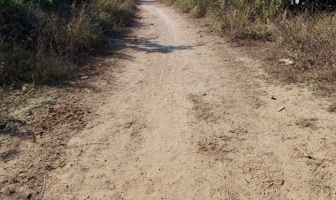 यमुना किनारे स्थित कुँअर भाव सिंह बाबा मंदिर तक पक्की सड़क की मांग तेज, ग्रामीण बोले—20 साल से सुनवाई नहीं