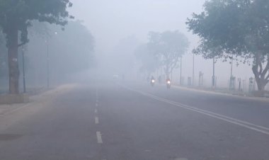 प्रयागराज में घना कोहरा | कोहरे की चादर में लिपटी सुबह ! प्रयागराज में धीमी पड़ी वाहनों की रफ़्तार