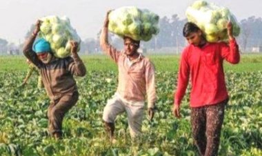 नवाचार से उत्तर प्रदेश के किसान हो रहे समृद्ध