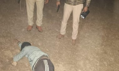 पुलिस मुठभेड़ में गौतस्कर घायल, 13 गोवंश मुक्त कराए गए
