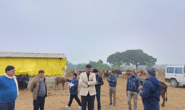 मऊ जिलाधिकारी ने गौशाला और कंपोजिट विद्यालय का किया औचक निरीक्षण