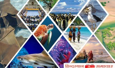 खेत में काम करते समय किसान की मौत, ठंड लगने की आशंका