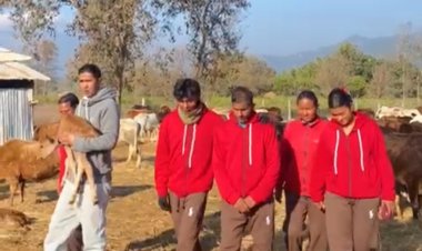 मुख्यमंत्री योगी के नाम पर नेपाल में शुरू हुई गौशाला