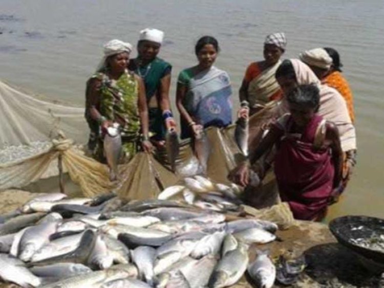 मुख्यमंत्री मत्स्य संपदा योजना के तहत पांच लाभार्थियों को दी गई सतप्रतिशत सब्सिडी