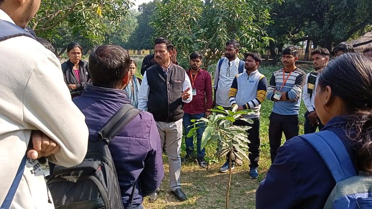 आम की सघन बागवानी में करें कैनोपी प्रबंधन : डॉ वीरेंद्र सिंह