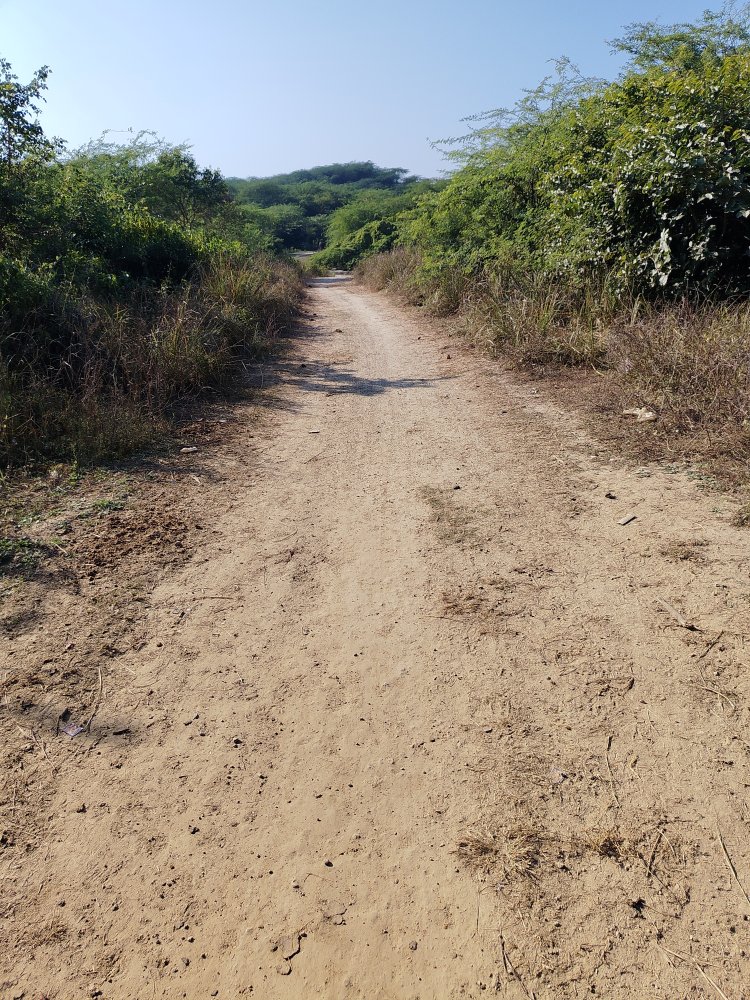 यमुना किनारे स्थित कुँअर भाव सिंह बाबा मंदिर तक पक्की सड़क की मांग तेज, ग्रामीण बोले—20 साल से सुनवाई नहीं