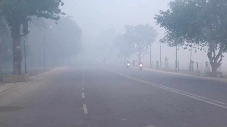 प्रयागराज में घना कोहरा | कोहरे की चादर में लिपटी सुबह ! प्रयागराज में धीमी पड़ी वाहनों की रफ़्तार