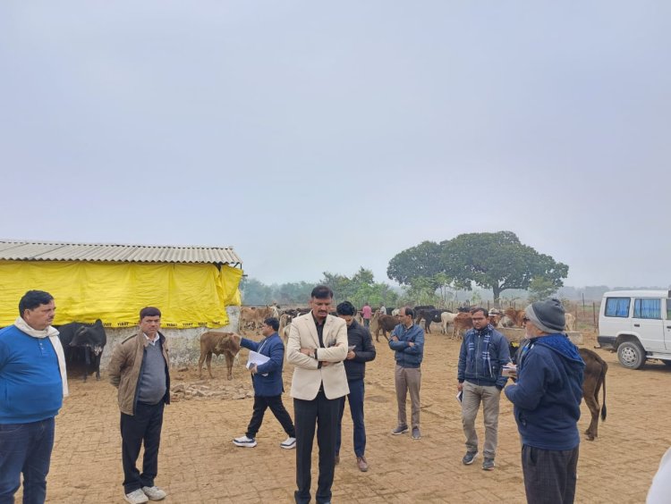 मऊ जिलाधिकारी ने गौशाला और कंपोजिट विद्यालय का किया औचक निरीक्षण