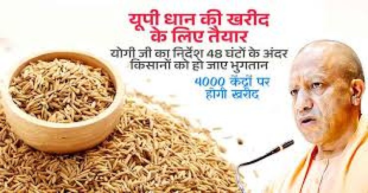 कानपुर मंडल में 5.78 लाख कुंतल धान की खरीद, 10,920 किसानों को सीधा लाभ