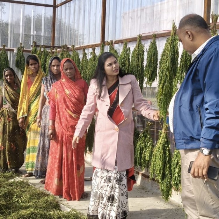 मोरिंगा से आत्मनिर्भर बन रहीं यूपी की ग्रामीण महिलाएं