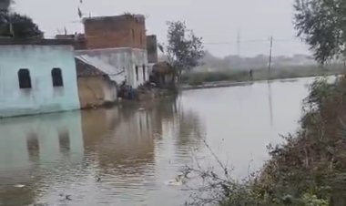 नहर का तटबंध टूटने से सैकड़ों बीघा फसल जलमग्न, गांव में घरों तक घुसा पानी