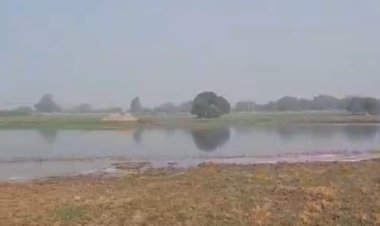 बाणसागर का पानी छोड़े जाने से किसानों की फसल डूबी  मुआवजे की मांग