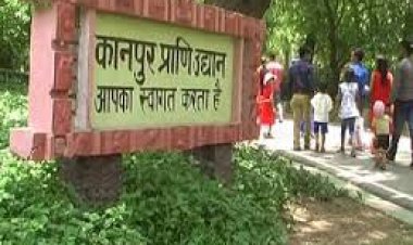 कानपुर चिड़ियाघर में तिरुपति से आए मादा ढोल का निधन, जांच के लिए बरेली भेजे गए नमूने