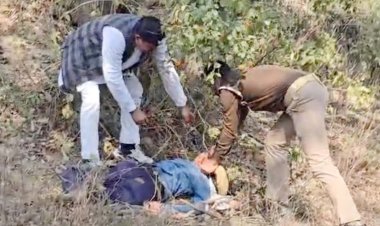 चित्रकूट कलेक्ट्रेट की बाउंड्री के पीछे पेड़ पर एक युवती ने लगाई फांसी