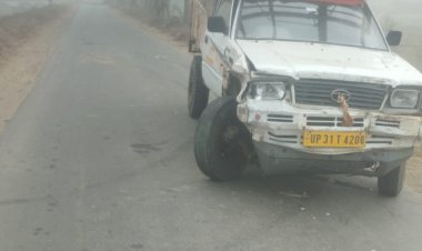 तस्करी के लिए गौवंश ले जा रही बोलेरो हादसे का शिकार; पांच गायें अचेत मिलीं, तस्कर फरार