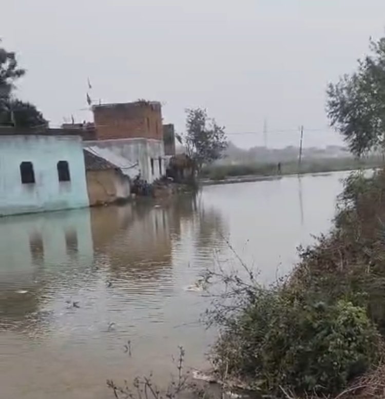 नहर का तटबंध टूटने से सैकड़ों बीघा फसल जलमग्न, गांव में घरों तक घुसा पानी
