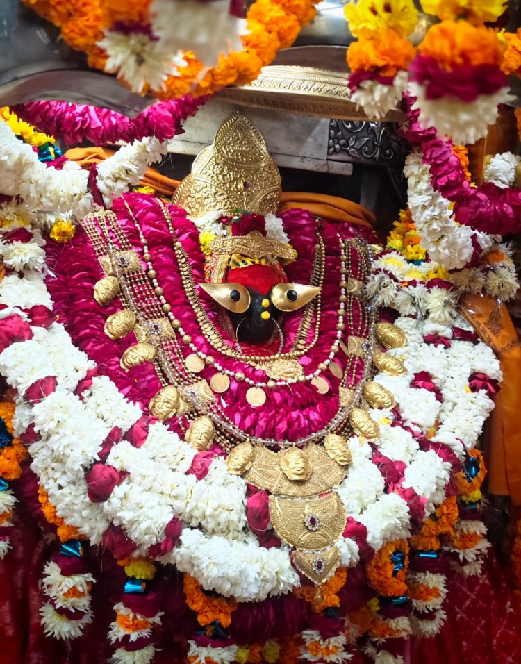 मकर संक्रांति पर विंध्यवासिनी धाम में सजेगा खिचड़ी महाभोग, 21 कुंटल प्रसाद अर्पित होगा मां के चरणों में