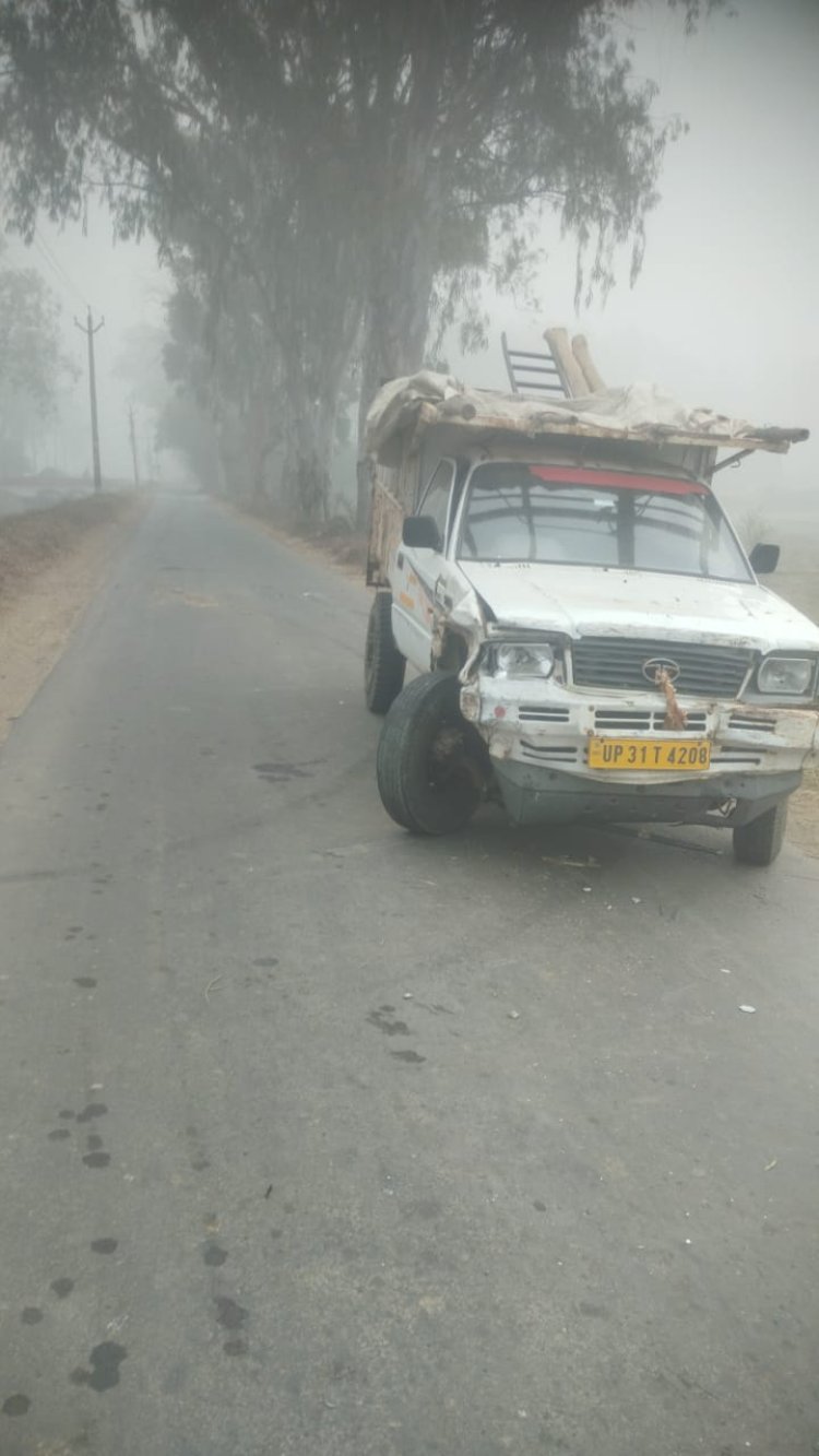 तस्करी के लिए गौवंश ले जा रही बोलेरो हादसे का शिकार; पांच गायें अचेत मिलीं, तस्कर फरार