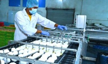 अंडा उत्पादन फर्म स्थापित करने को सरकार दे रही है अनुदान