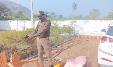 मीरजापुर में नीलगाय का मांस बरामद,आरोपित परिवार समेत फरार