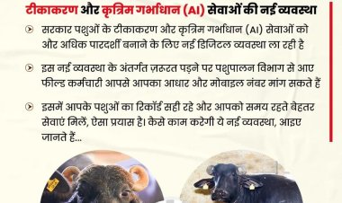 अब एआई से जुड़ेंगे उप्र के पशुपालक किसान , भ्रष्टाचार मिटाने का सरकार ने उठाया एक और कदम