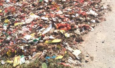 पूजा के पुष्पों से बनी हर्बल दवाएं, सौंदर्य उत्पाद