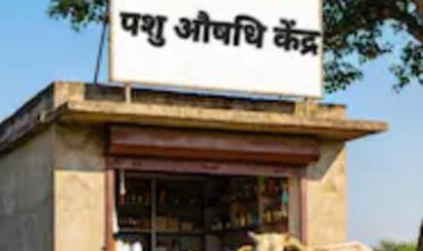 उत्तर प्रदेश के प्रत्येक राजस्व ब्लाक में स्थापित होंगे पशुऔषधि केंद्र, आनलाइन करें आवेदन