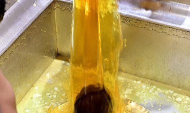 महाशिवरात्रि के दूसरे दिन भी श्री काशी विश्वनाथ दरबार में श्रद्धालुओं का सैलाब