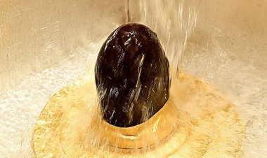 रंगभरी एकादशी पर काशी विश्वनाथ धाम के शिवार्चनम मंच पर होगी ‘फूलों की होली’