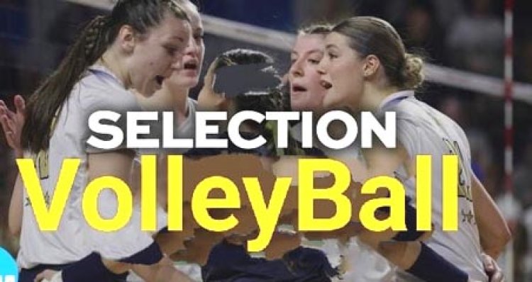 प्रदेशीय वॉलीबाल कैम्प में प्रयागराज के छह खिलाड़ियों का चयन